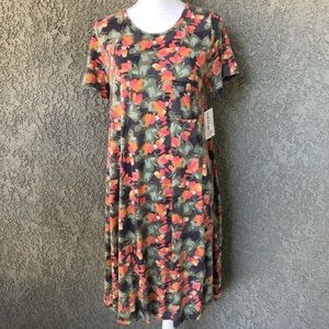 LuLaRoe Carly Dress